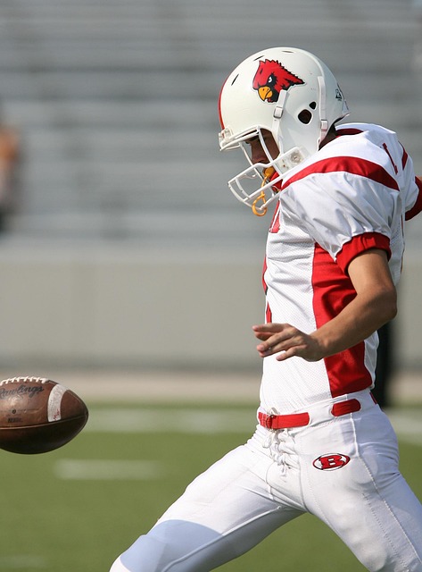 并迅速成长 并迅速成长